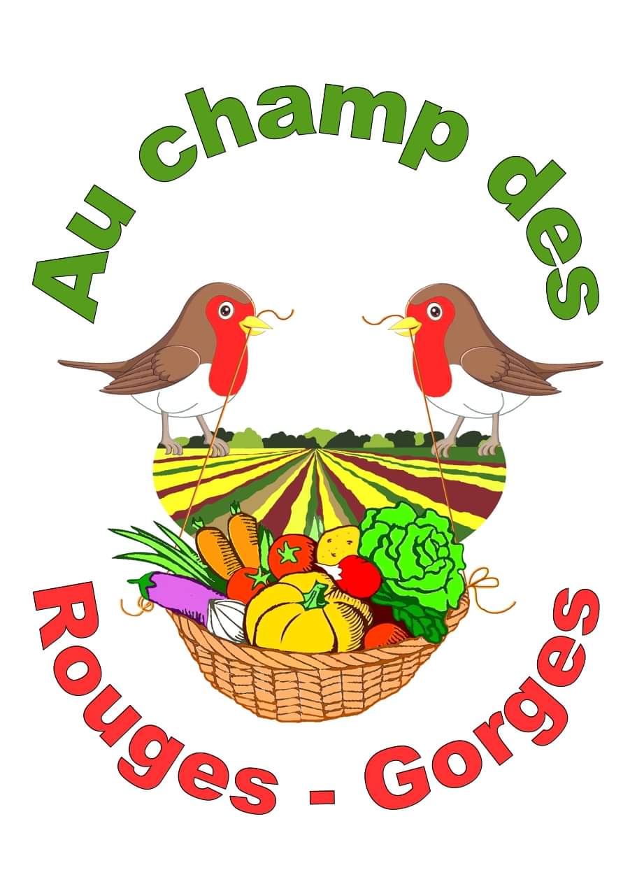 VENTE DE PLANTS DE LEGUMES