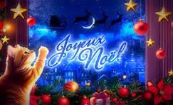 PRODUITS FESTIFS POUR VOTRE REPAS DE NOEL